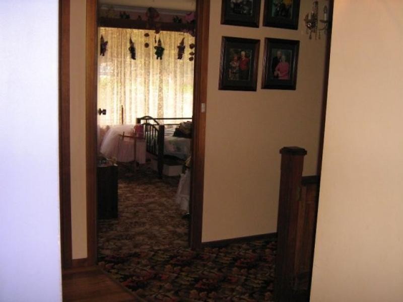 879 Castra Road, Spalford TAS 7315