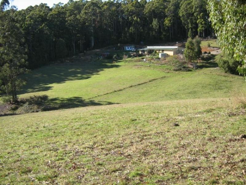 1898 Wilmot Road, Lower Wilmot TAS 7310
