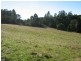1896 Wilmot Road, Lower Wilmot TAS 7310