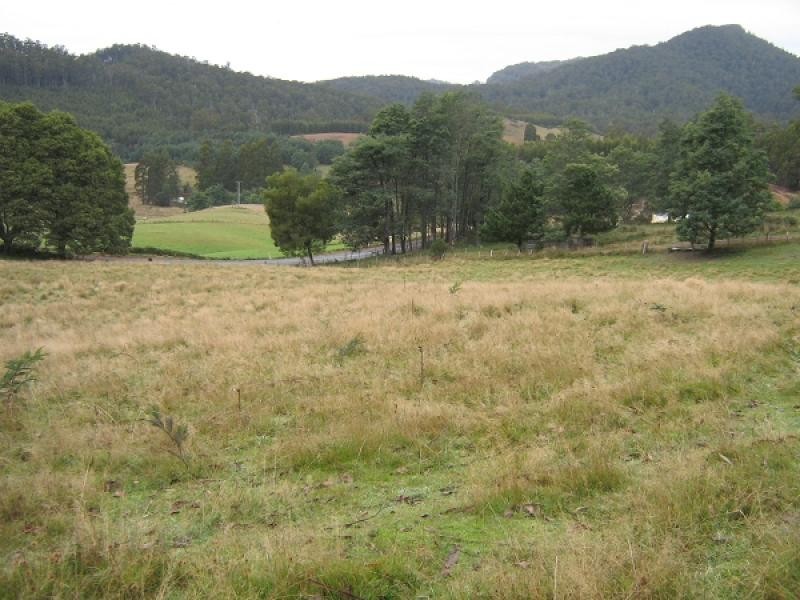 1896 Wilmot Road, Lower Wilmot TAS 7310
