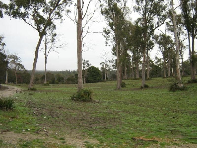 591 Bakers Beach Road, Bakers Beach TAS 7307