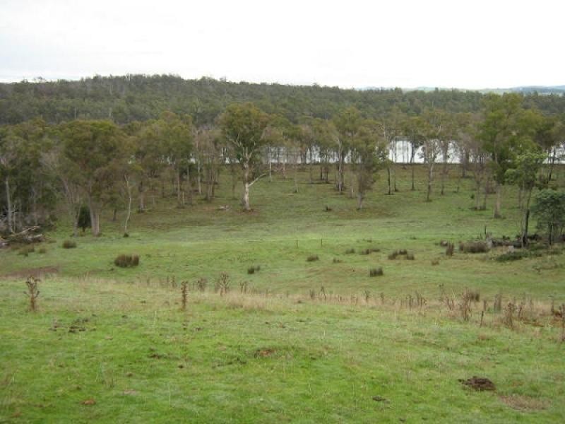 591 Bakers Beach Road, Bakers Beach TAS 7307