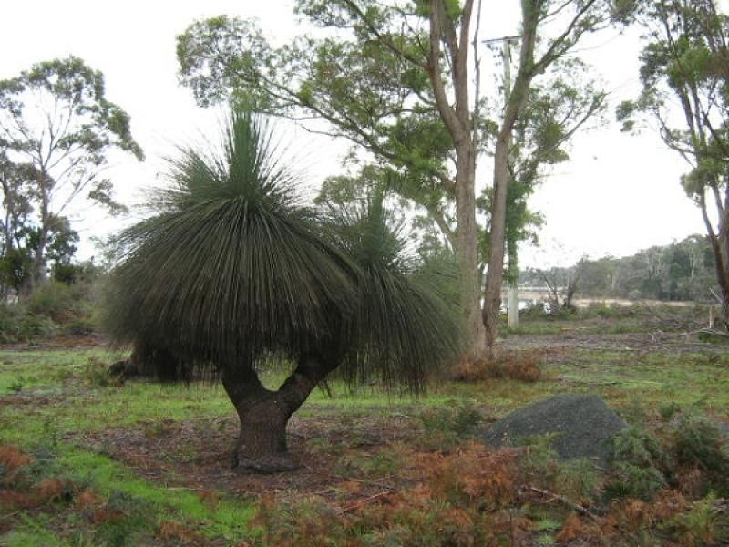 591 Bakers Beach Road, Bakers Beach TAS 7307