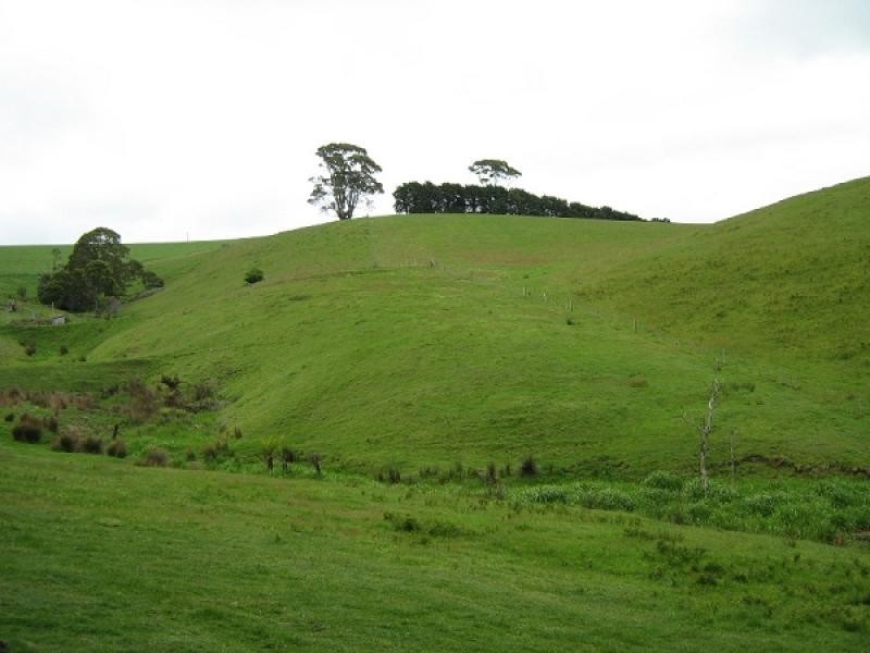0 Melrose Road and Buster Road, Melrose TAS 7310