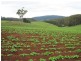 0 Melrose Road and Buster Road, Melrose TAS 7310