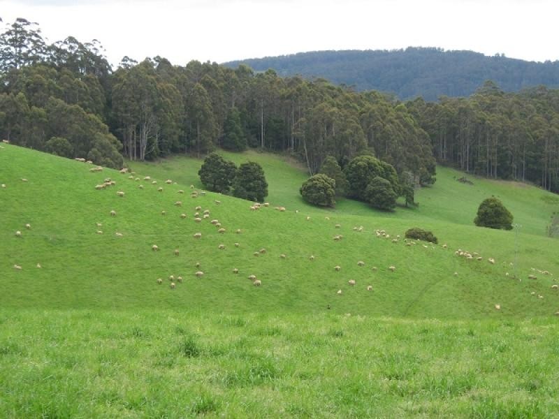 0 Melrose Road and Buster Road, Melrose TAS 7310