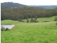 0 Melrose Road and Buster Road, Melrose TAS 7310