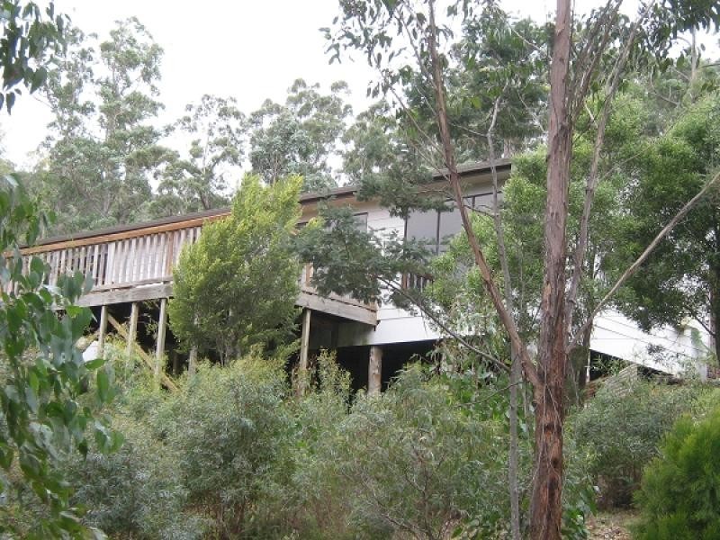 384 Geales Road, Kindred TAS 7310