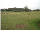 62 SOUTH NIETTA ROAD, Nietta TAS 7315