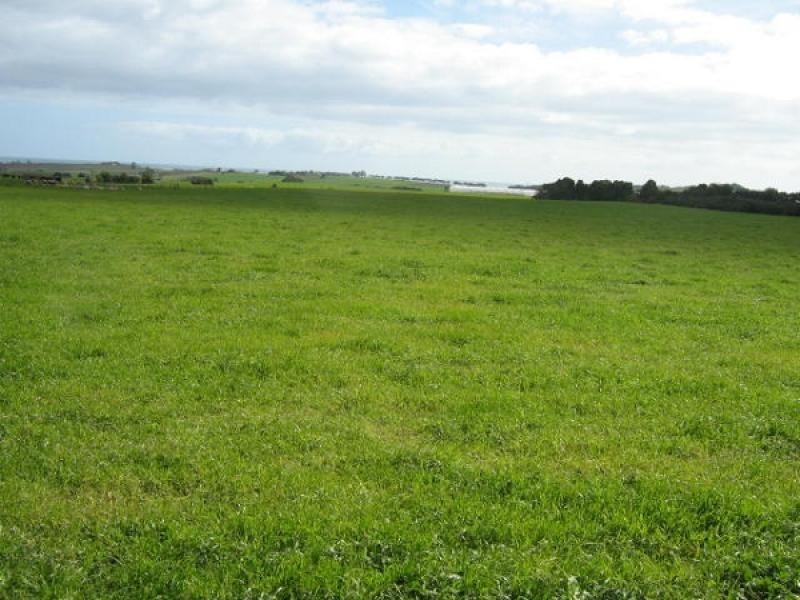 170 Wesley Vale Road, Wesley Vale TAS 7307