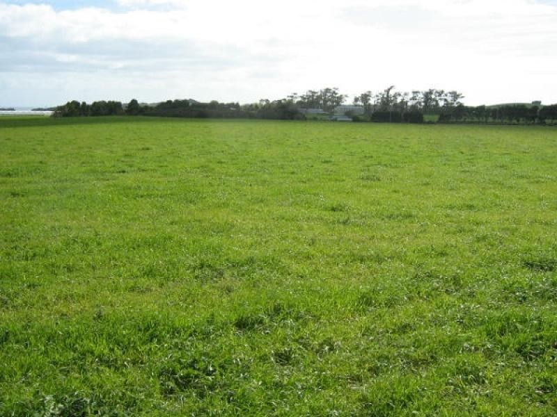 170 Wesley Vale Road, Wesley Vale TAS 7307