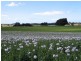 626 Upper Stowport Road, Upper Stowport TAS 7321