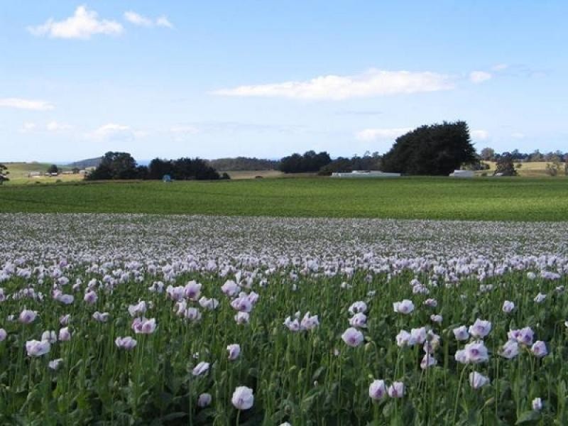 626 Upper Stowport Road, Upper Stowport TAS 7321