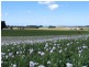 626 Upper Stowport Road, Upper Stowport TAS 7321