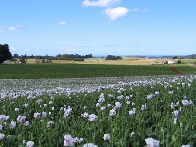626 Upper Stowport Road, Upper Stowport TAS 7321