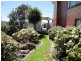 26 Elizabeth Street, Penguin TAS 7316