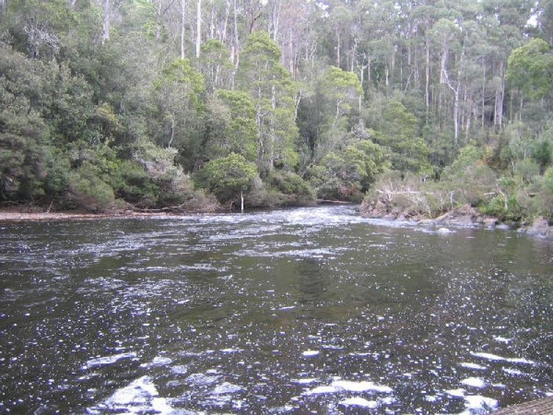 245 Harveys Road, North Motton TAS 7315