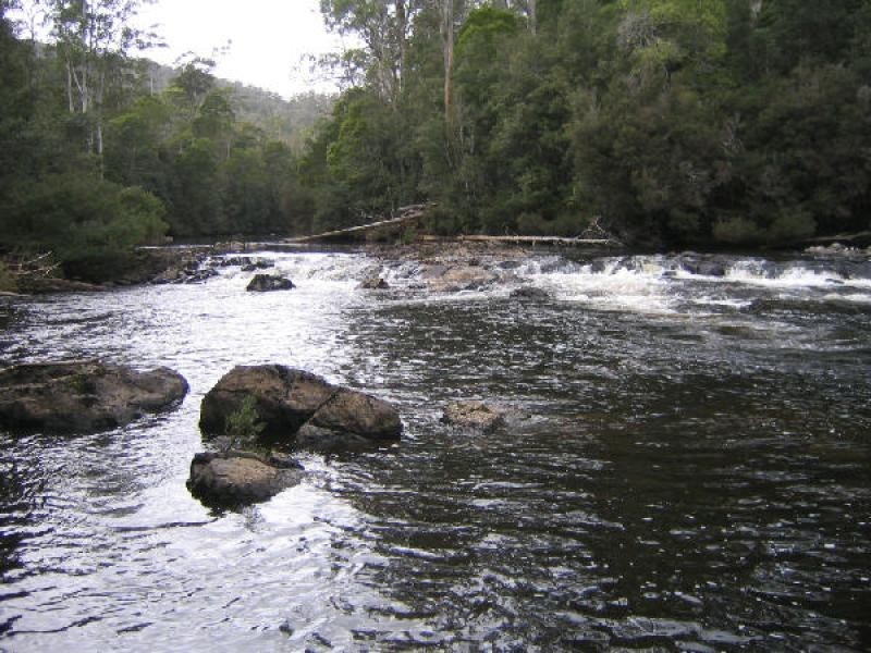 245 Harveys Road, North Motton TAS 7315