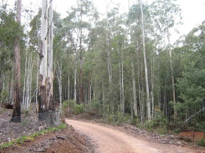 245 Harveys Road, North Motton TAS 7315