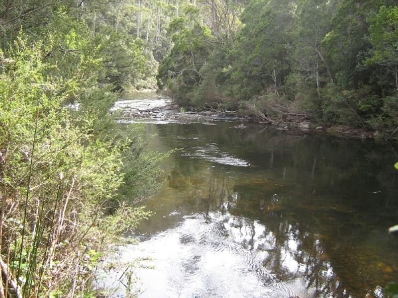 Gunns Plains TAS 7315