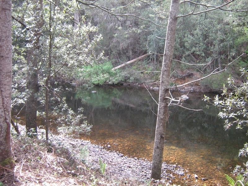 Gunns Plains TAS 7315