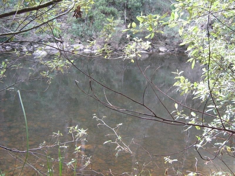 Gunns Plains TAS 7315