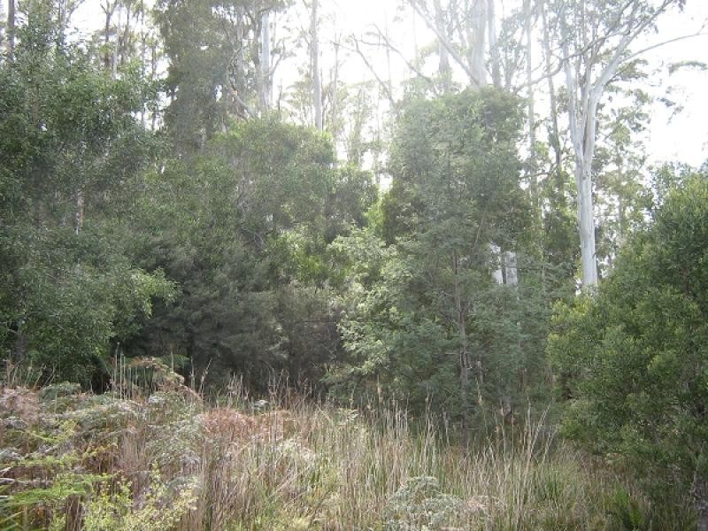 Gunns Plains TAS 7315