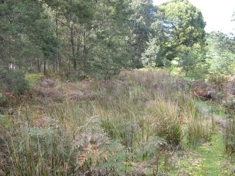 Gunns Plains TAS 7315