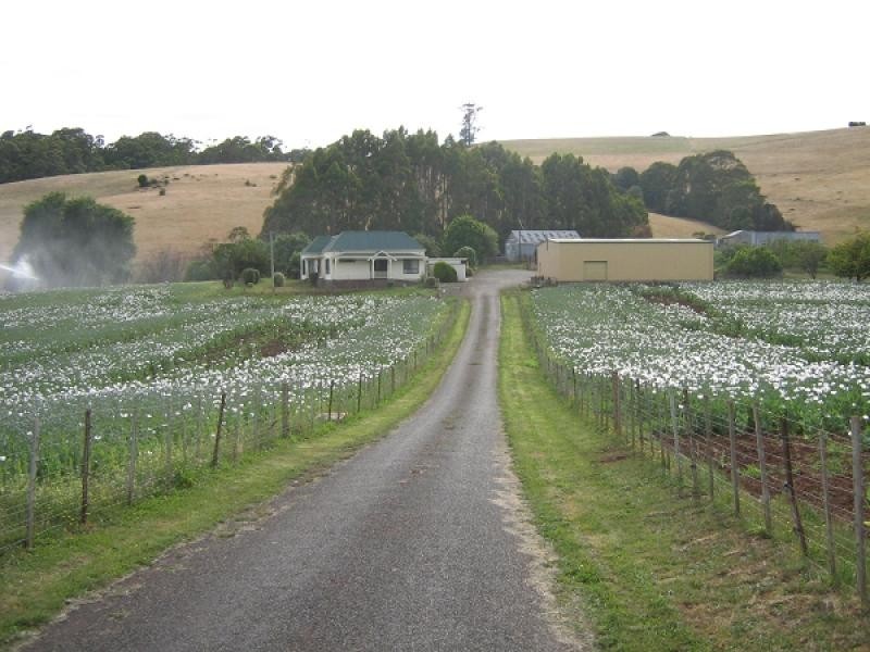 203 Isandula Road, Gawler TAS 7315