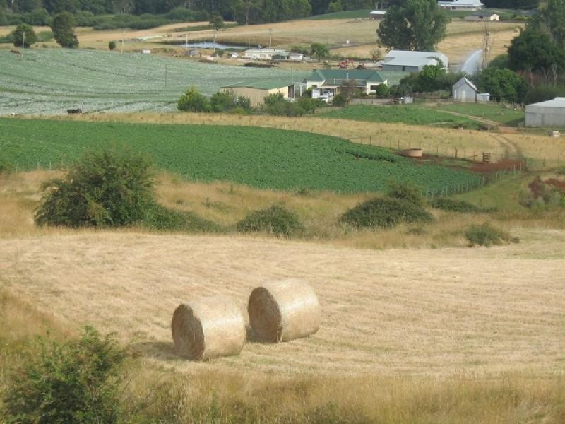 203 Isandula Road, Gawler TAS 7315