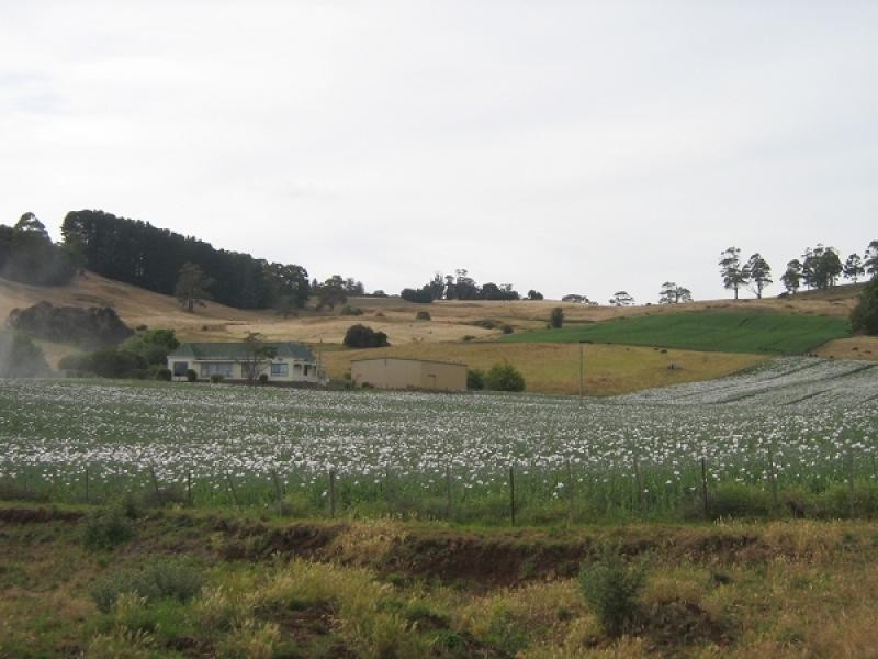 203 Isandula Road, Gawler TAS 7315