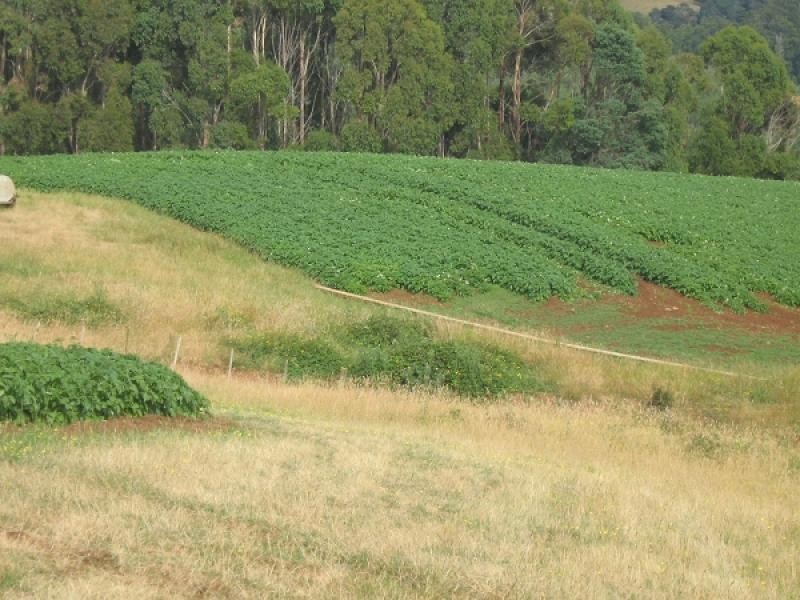 203 Isandula Road, Gawler TAS 7315