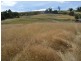 Lot 1 Leith Road, Leith TAS 7315