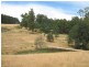 39 Devils Gate Road, Barrington TAS 7306