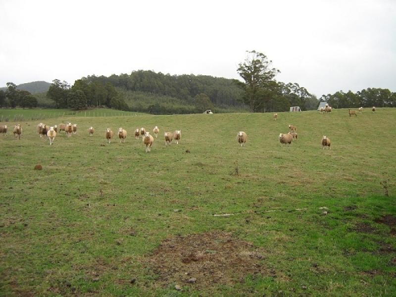 62 South Nietta Road, Nietta TAS 7315