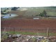 463 Stowport Road, Stowport TAS 7321