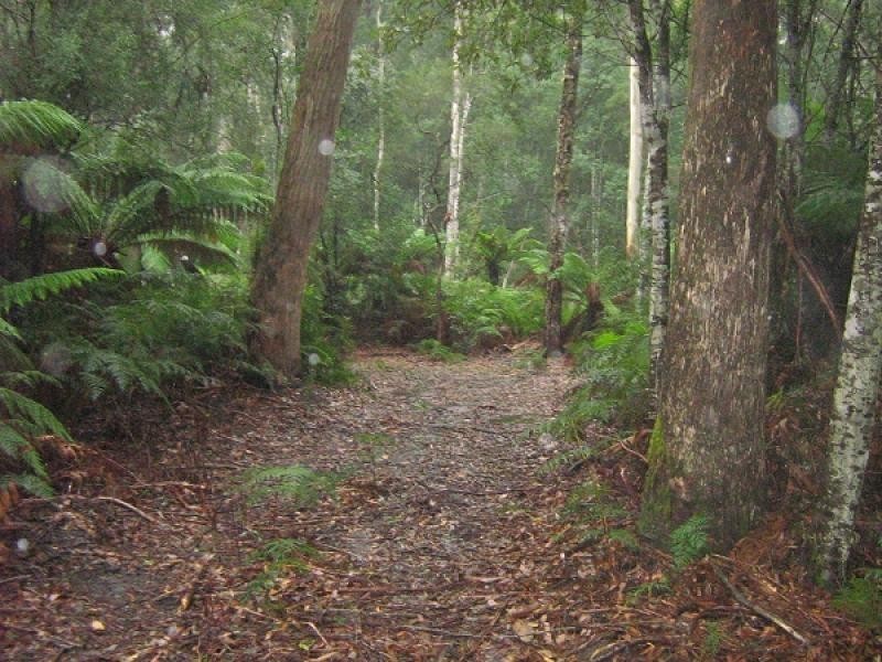 Gunns Plains TAS 7315