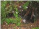 Gunns Plains TAS 7315