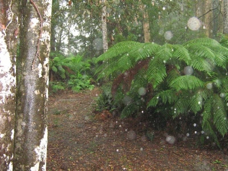 Gunns Plains TAS 7315