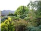 1087 Pine Road, Penguin TAS 7316