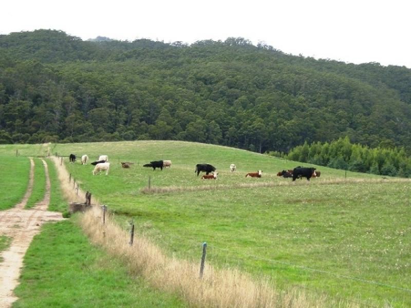 1087 Pine Road, Penguin TAS 7316