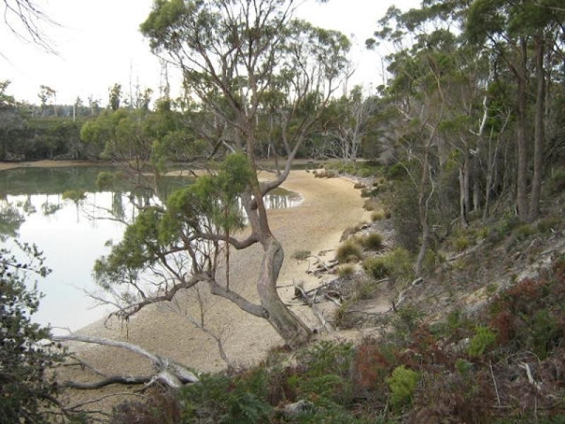 591 Bakers Beach Road, Bakers Beach TAS 7307