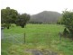 265 Cradle Mountain Road, Wilmot TAS 7310