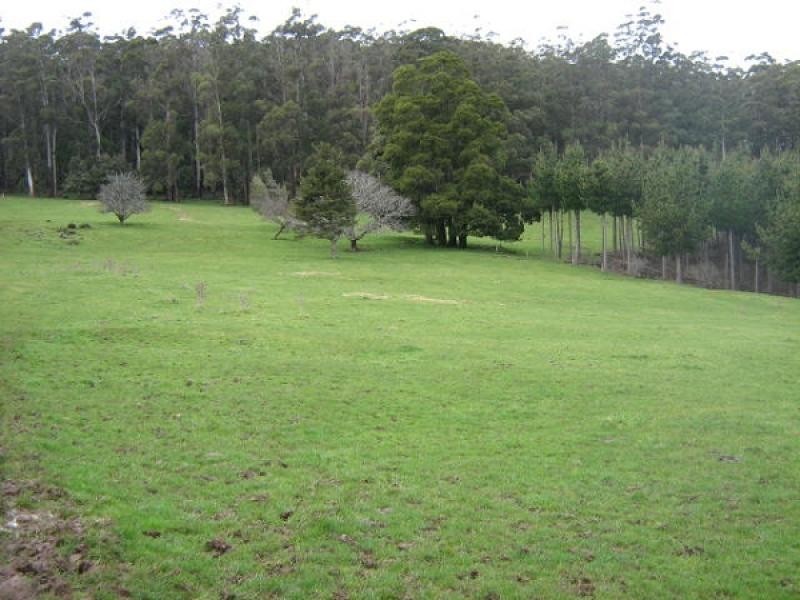 265 Cradle Mountain Road, Wilmot TAS 7310