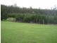 265 Cradle Mountain Road, Wilmot TAS 7310