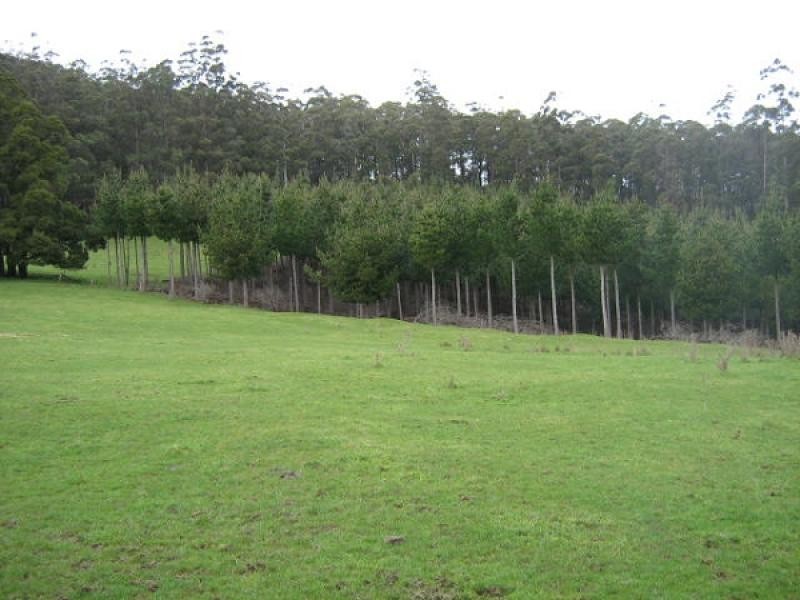 265 Cradle Mountain Road, Wilmot TAS 7310