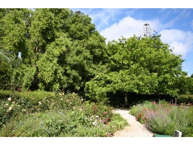 219 West Pine Road, West Pine., Penguin TAS 7316