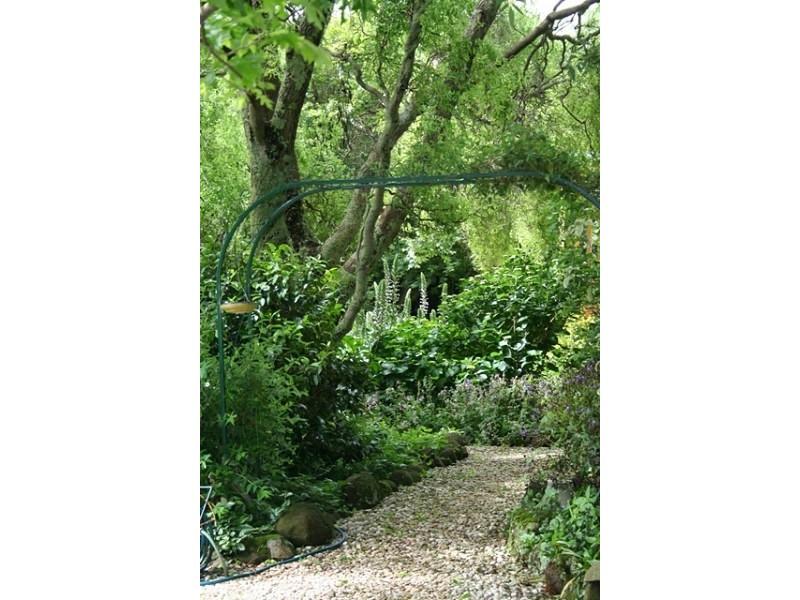 219 West Pine Road, West Pine., Penguin TAS 7316