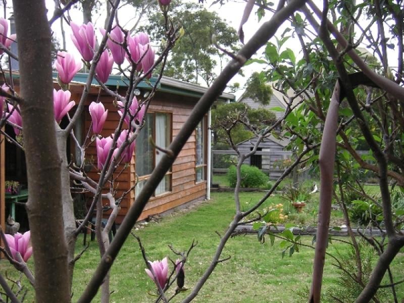 96 Esplanade, Turners Beach TAS 7315