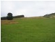 160 Lowana Road, Gunns Plains TAS 7315